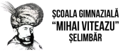 Scoala Gimnaziala Mihai Viteazu Selimbar